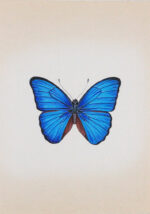 The Beautiful Butterflies in Miniature Painting - Image 5