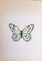 The Beautiful Butterflies in Miniature Painting - Image 7